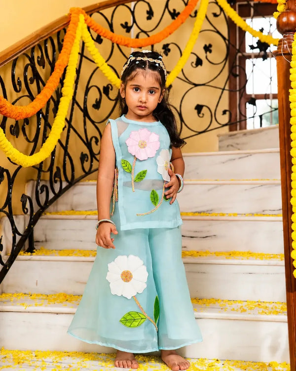 Bageecha Coord Set