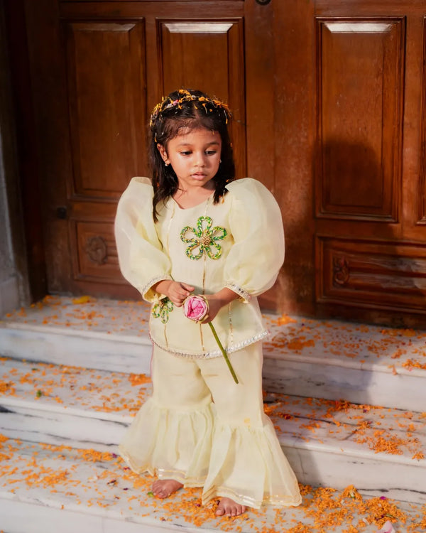 Ruhani Sharara Set